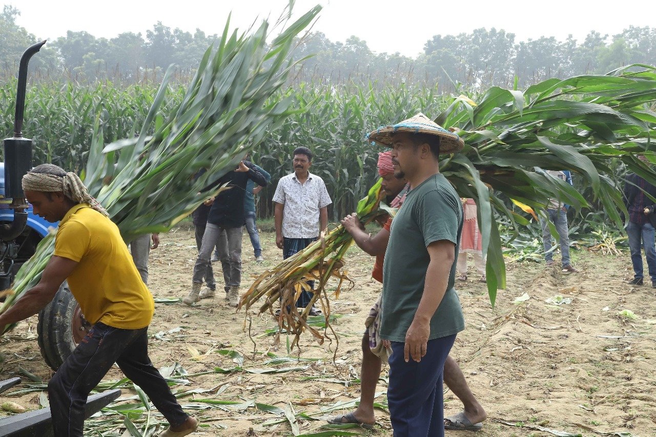 Promoting Communal Harmony