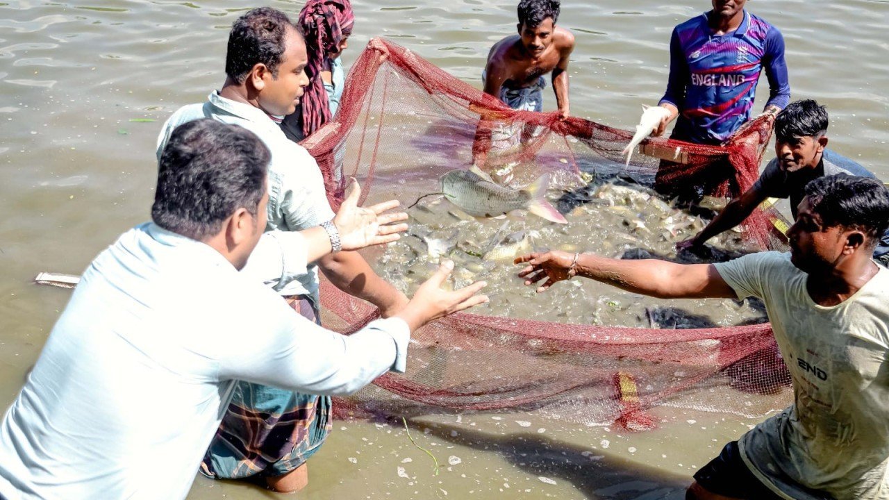 Commercial fish farming
